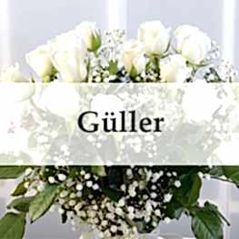 Güller