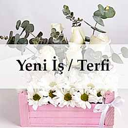 Yeni İş Çiçekleri