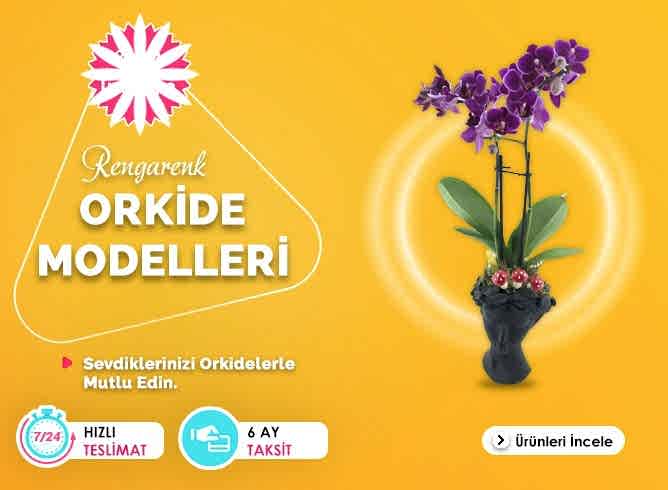 Orkideler