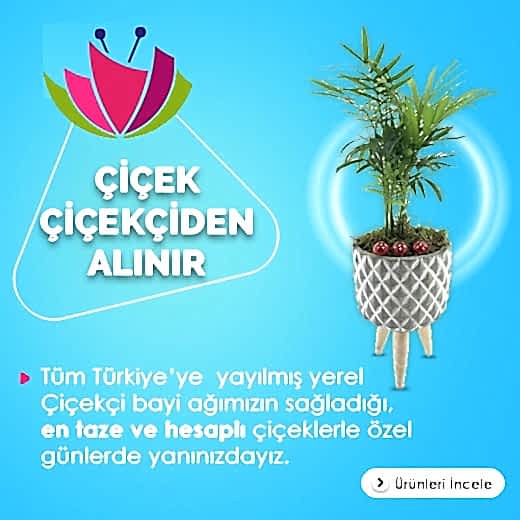 Çiçek Çiçekçiden Alınır - Tüm Türkiye'ye yayılmış yerel çiçekçi bayi ağımızın sağladığı en taze ve en hesaplı çiçeklerle özel günlerde yanınızdayız.