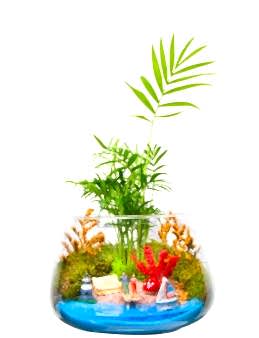 Masmavi Teraryum Terarium çiçek gönder