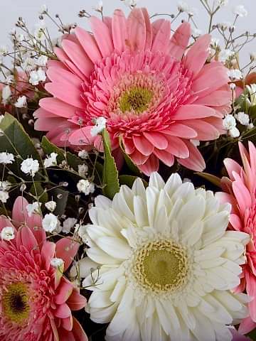 Hayallerimin  Prensesi Gerbera Çiçek Arajmanı Aranjmanlar çiçek gönder